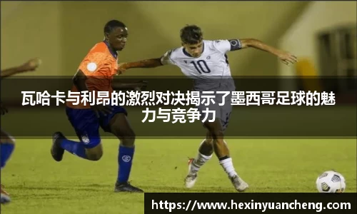 mk体育